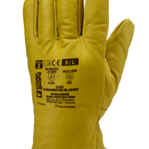 EUROWINTER ISLANDE Bőrkesztyű Bőrkesztyű bőrkesztyű